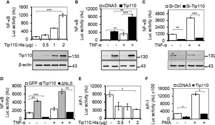 Figure 1