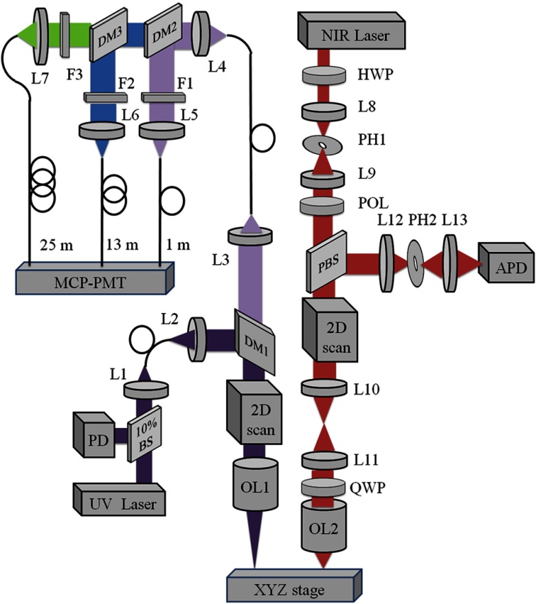 Fig. 1