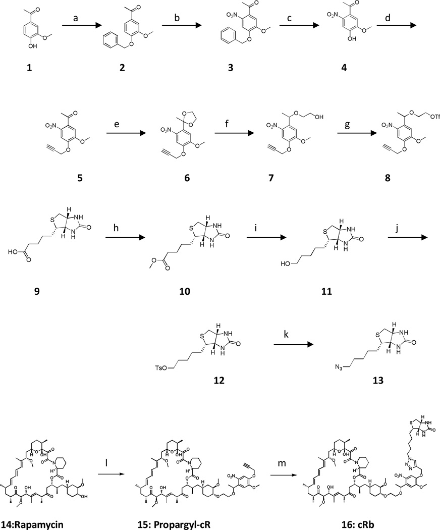 Synthetic scheme of cRb (Copyright@ACS2011)6
