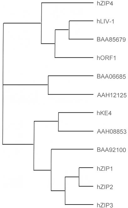 Figure  2