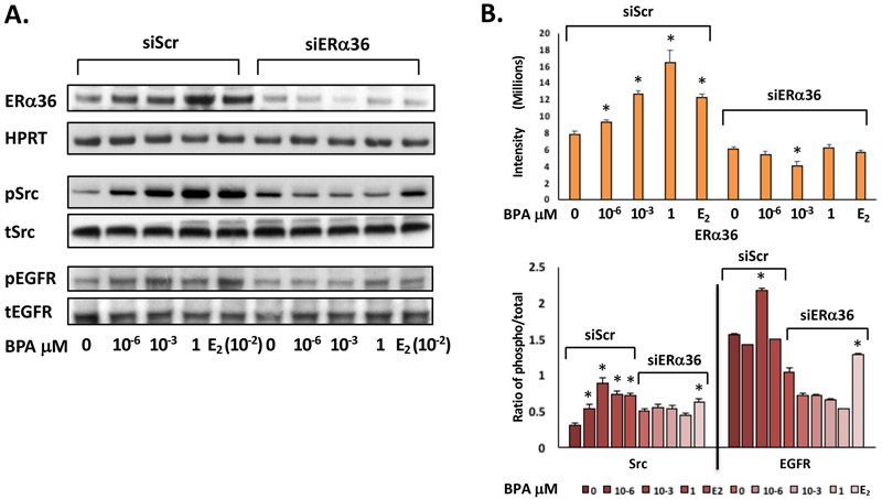 Fig 4.