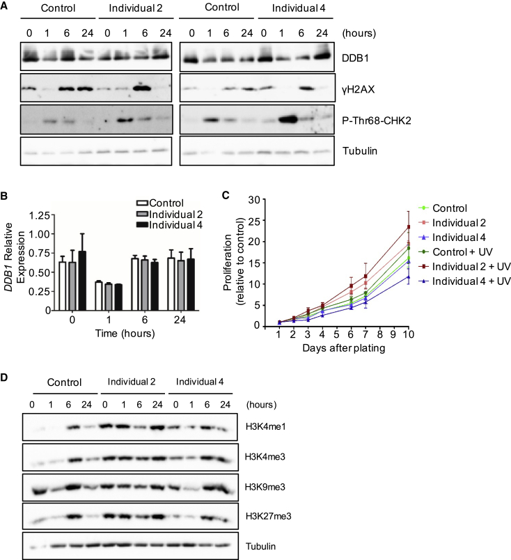 Figure 3