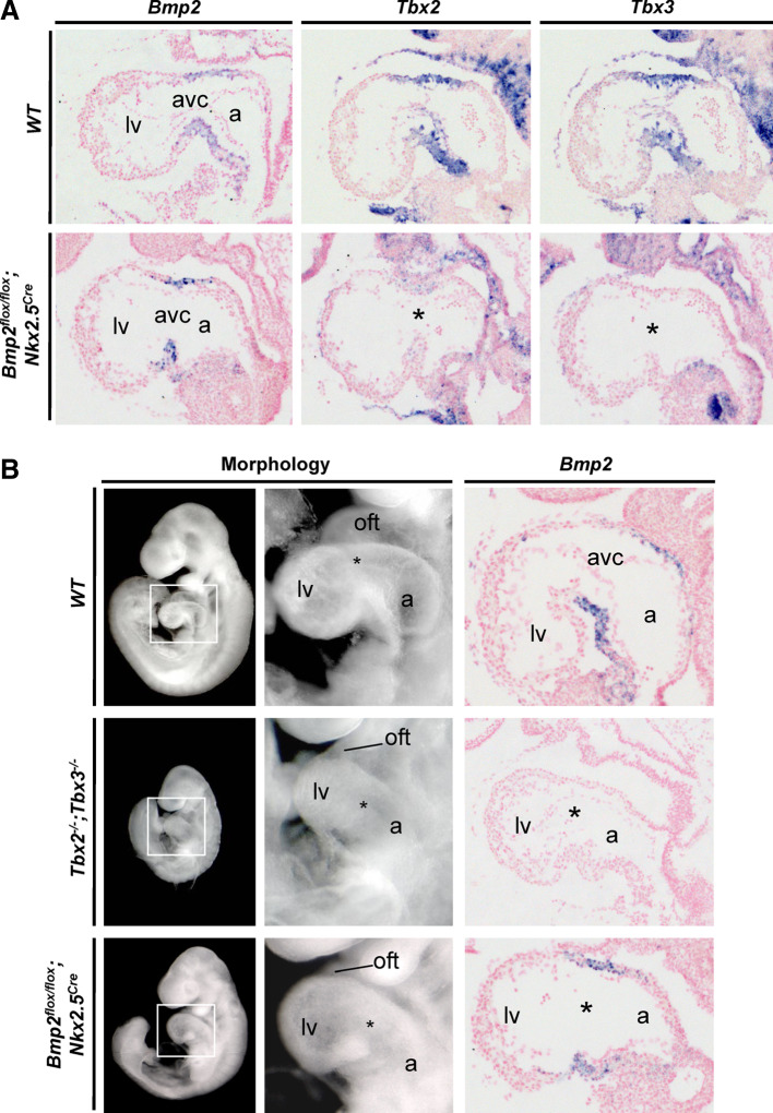 Fig. 3