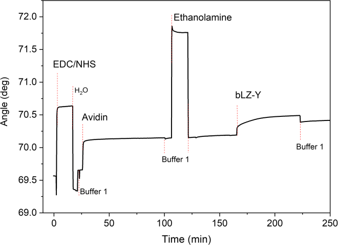 Figure 2