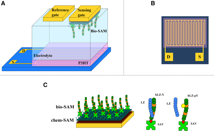 Figure 1