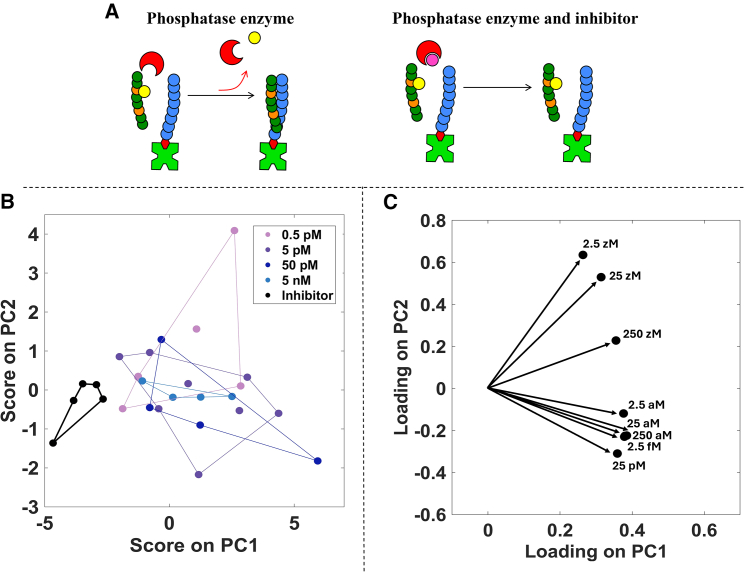 Figure 5