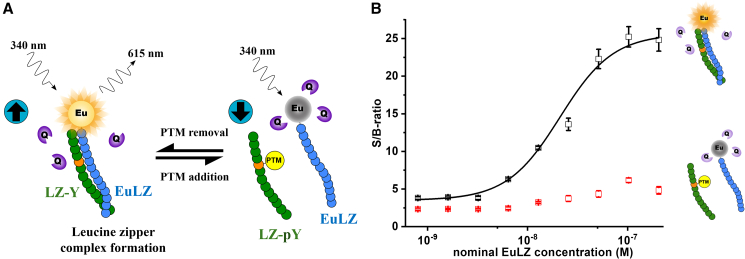 Figure 3