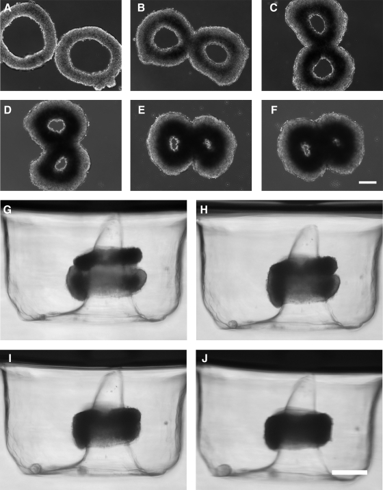 FIG. 5.