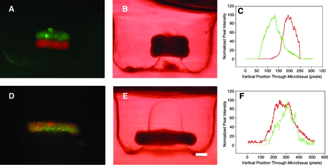 FIG. 7.