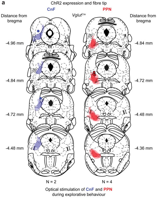 Extended Data Figure 7