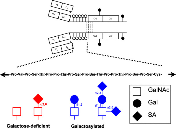 Fig. 1