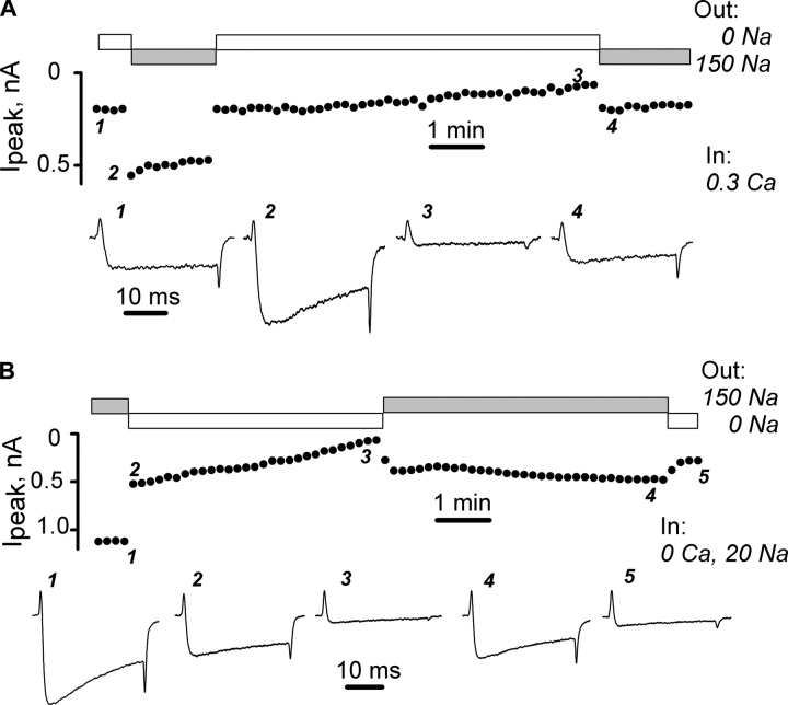 Figure 3. 