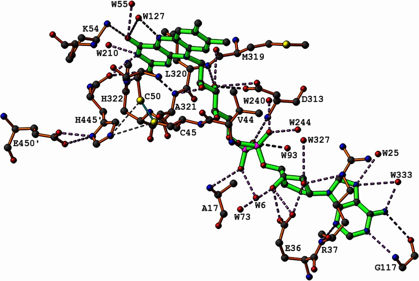 FIGURE 2.