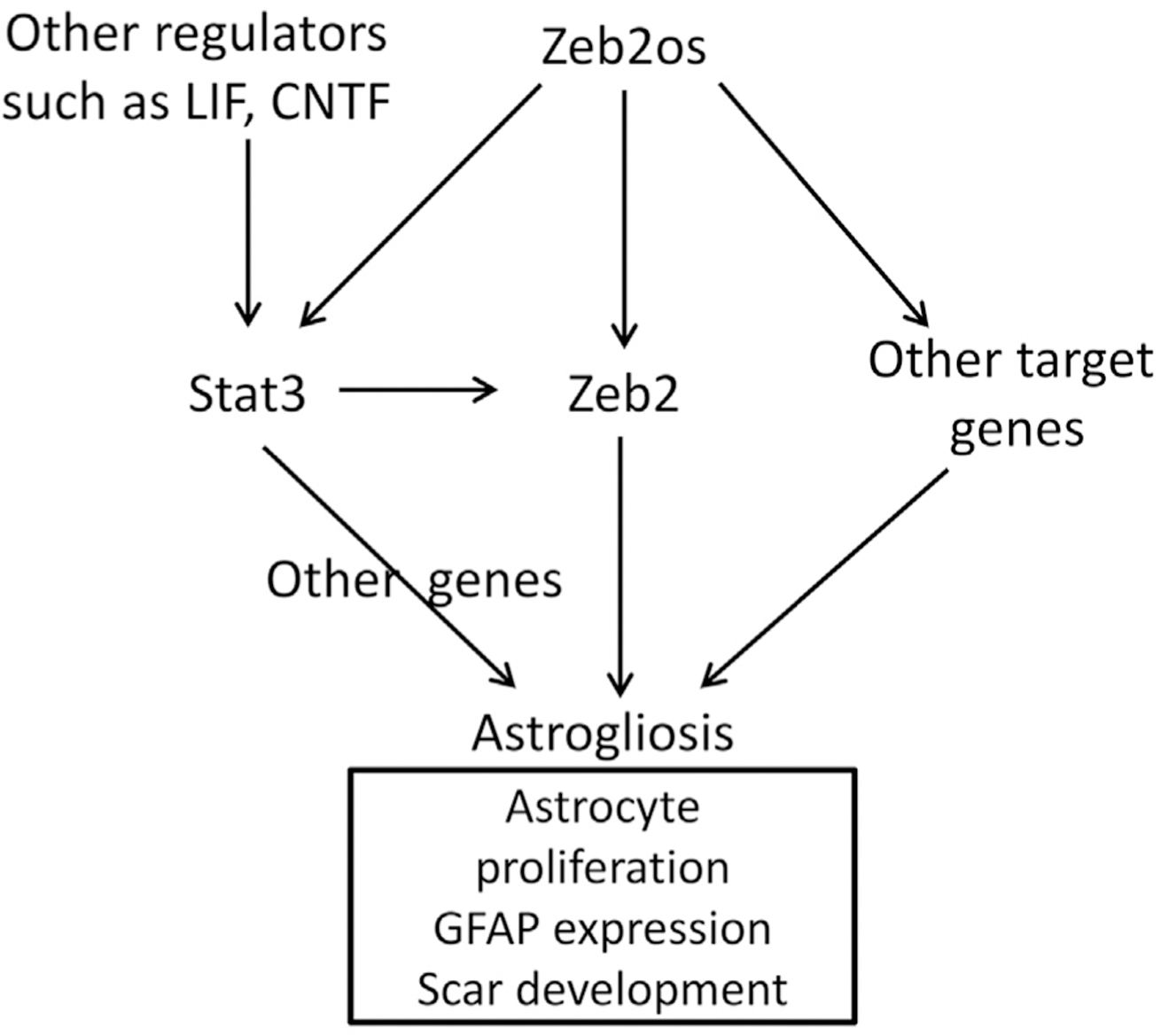 Figure 7.