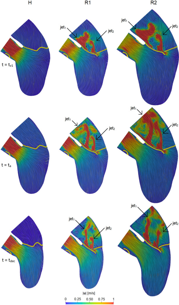 Fig. 8