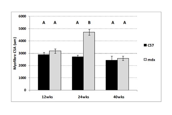 graphic file with name figure-3.jpg