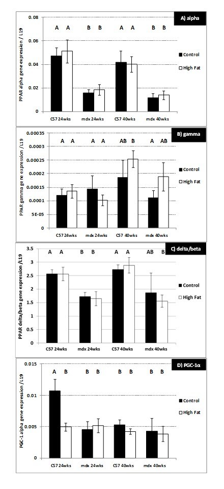 graphic file with name figure-6.jpg