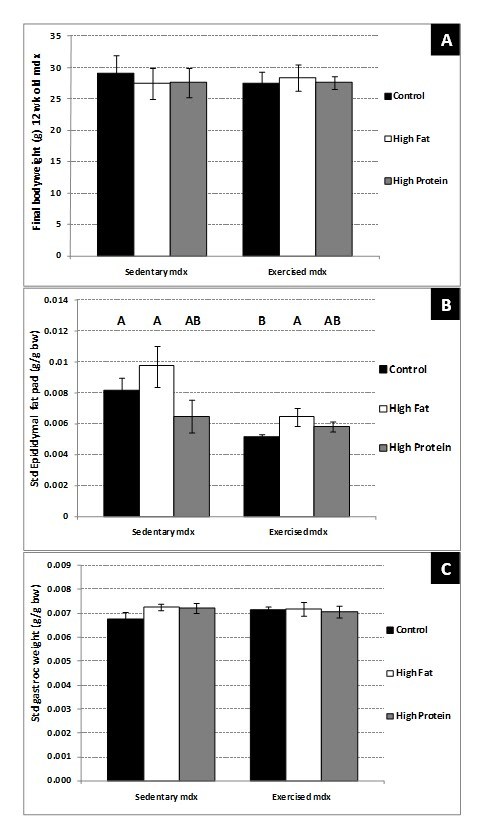 graphic file with name figure-8-.jpg