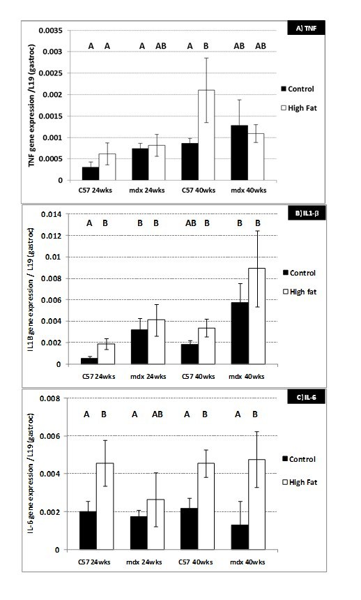 graphic file with name figure-5.jpg