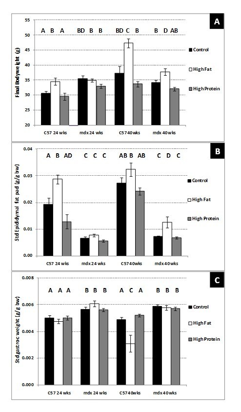 graphic file with name figure-2.jpg