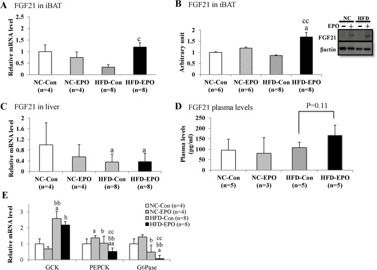 Fig 10