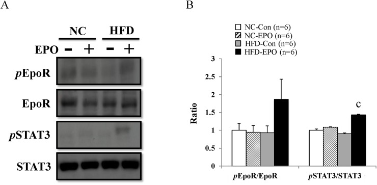 Fig 7