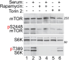 Figure 4–1.