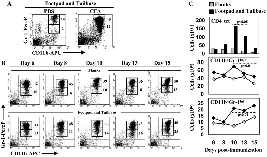 FIGURE 4