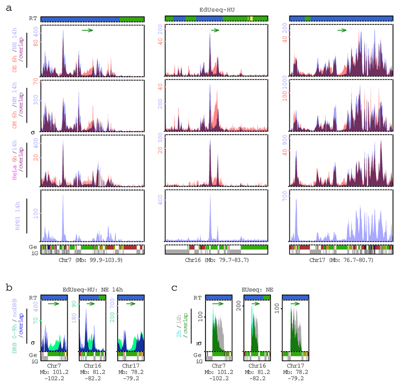 Extended Data Figure 7