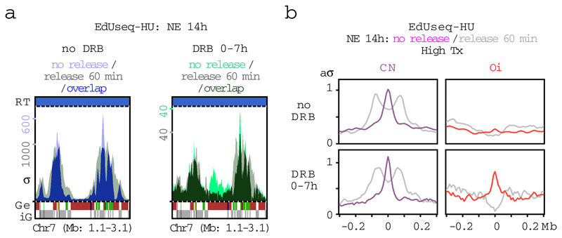 Extended Data Figure 8