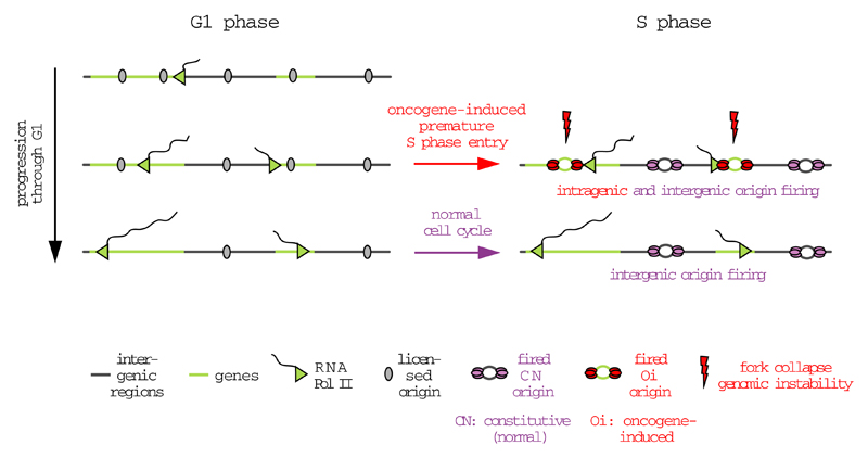 Extended Data Figure 10