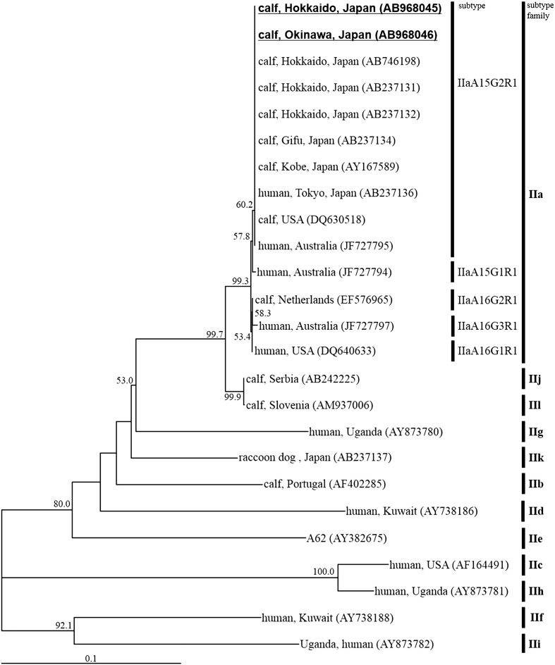 Fig. 4