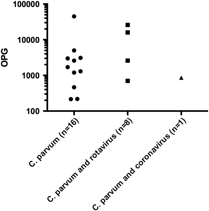 Fig. 3