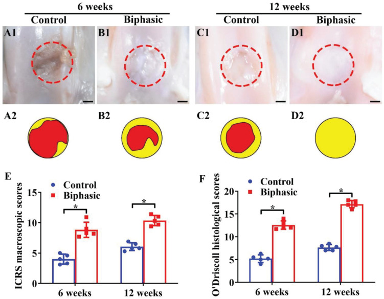 FIGURE 6