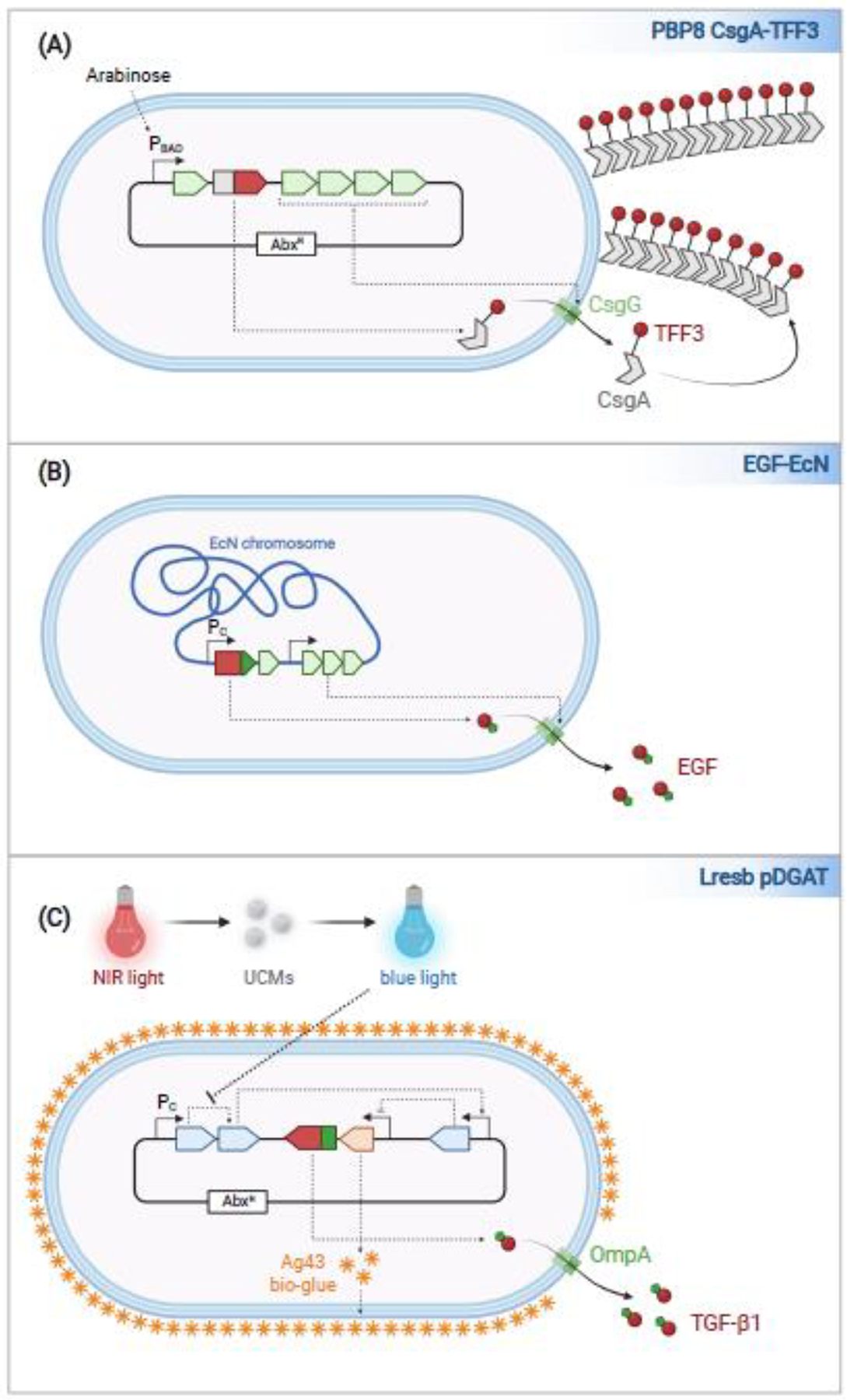 Figure 2.