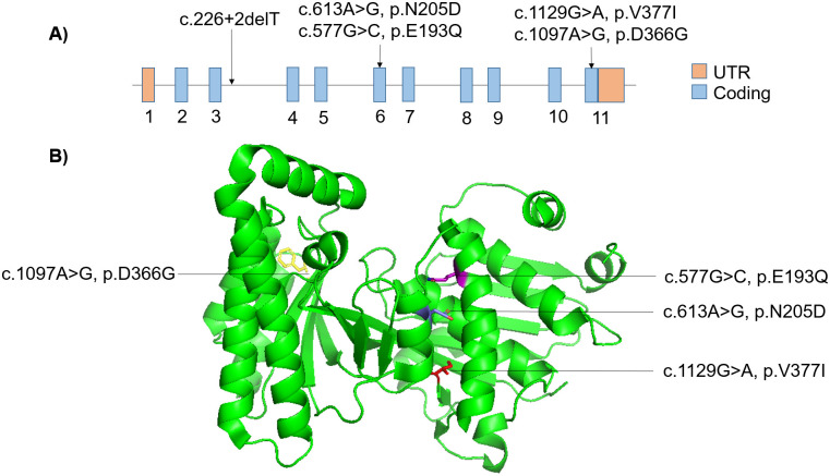 Fig 1