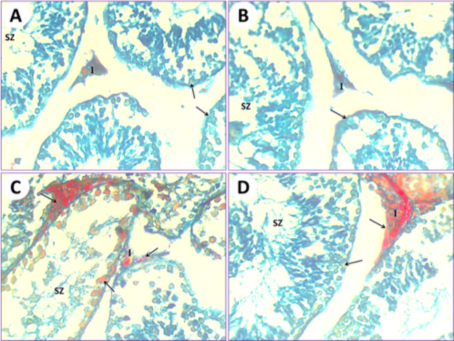 Fig. 10