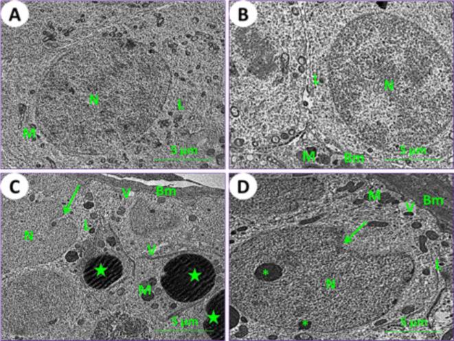 Fig. 8