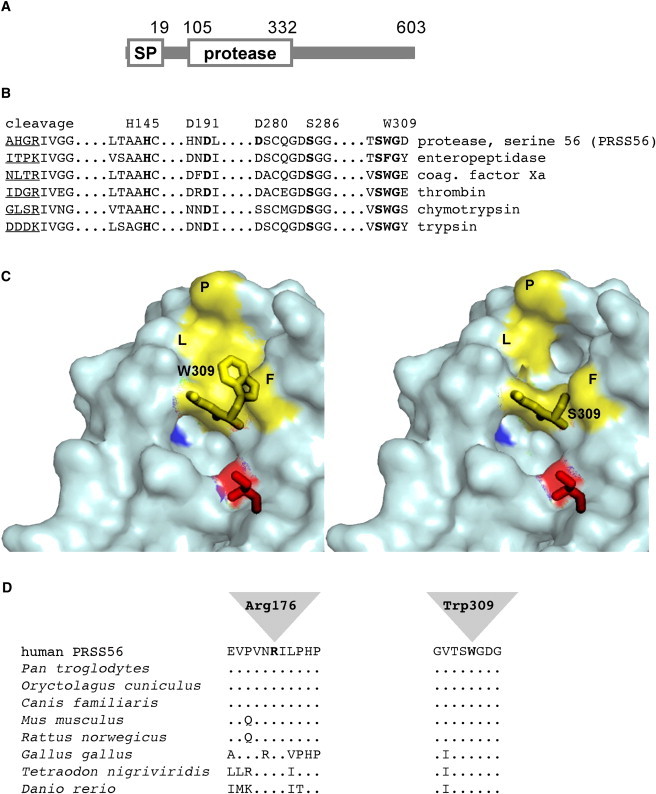 Figure 5