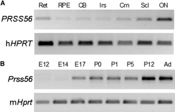 Figure 3