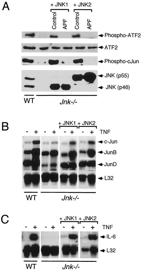 FIG. 6.