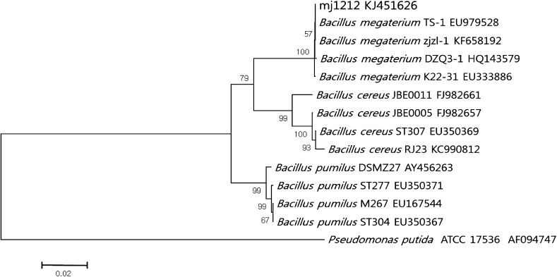 Fig. 1