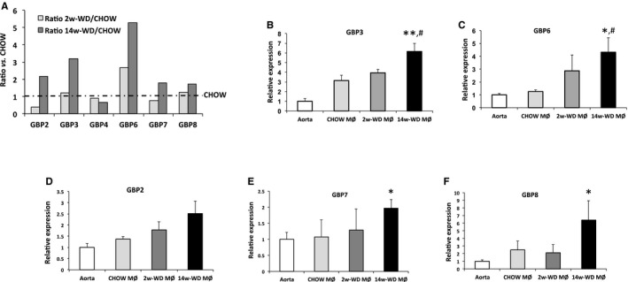 Figure 6