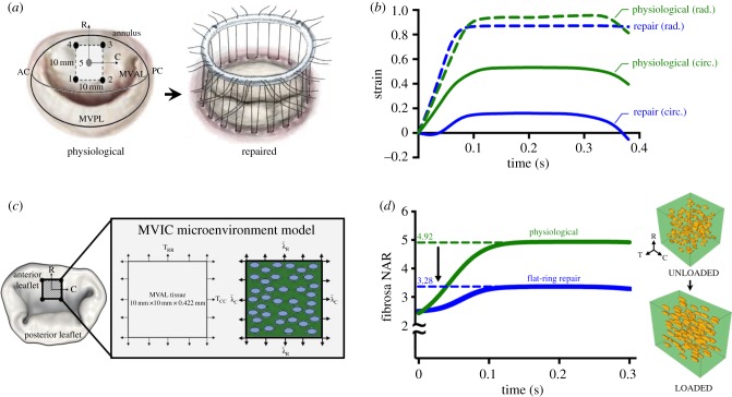 Figure 10.