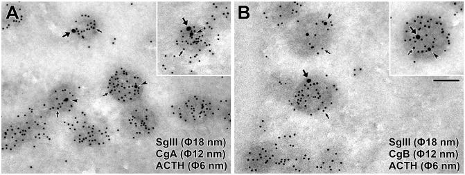 Figure 9.
