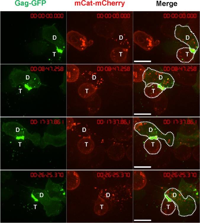 FIG 10