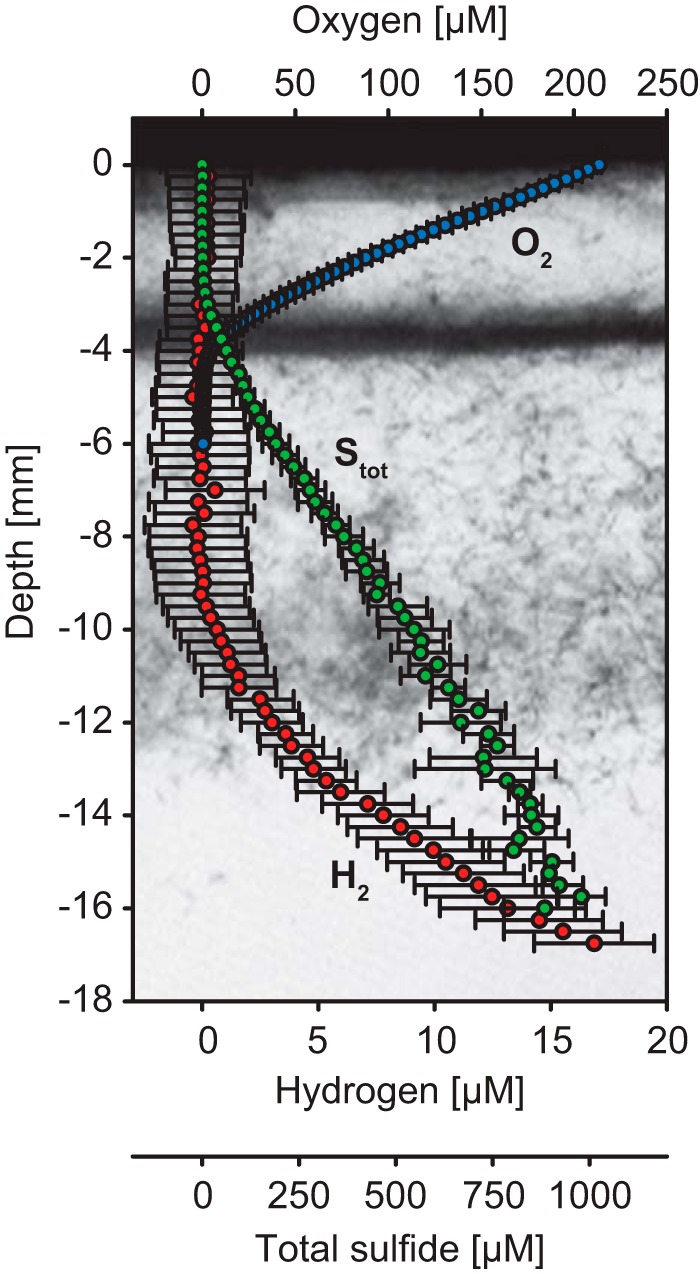 FIG 6