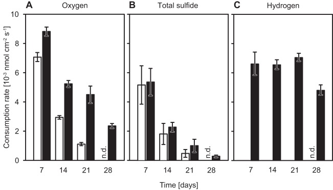 FIG 4