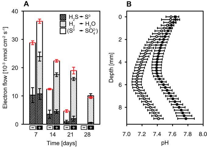 FIG 7