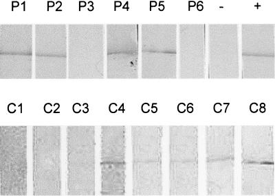 FIG. 5.